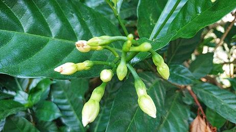 《真女神转生5》发售三周年 官方公布庆祝贺图