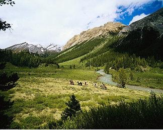 《怪物猎人崛起：曙光》冰狼龙设定原画 6月30日发售